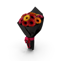 Gerbera Black Bouquet PNG & PSD Images