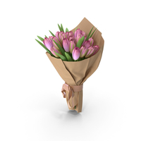 Tulips Bouquet PNG & PSD Images