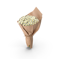 Daisy Bouquet PNG & PSD Images