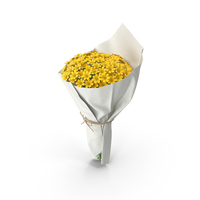 Daisy Bouquet PNG & PSD Images