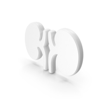 Kidney Medical Symbol White PNG & PSD Images
