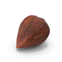 Hazelnut Without Shell PNG & PSD Images