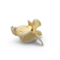 Pavian Monkey Male Lumber Vertebrae L7 PNG & PSD Images