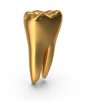 Golden Human Teeth Lower First Molar PNG & PSD Images