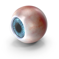 Realistic Human Blue Eye PNG & PSD Images