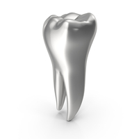 Silver Human Teeth Lower Second Molar PNG & PSD Images
