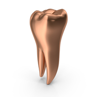 Copper Human Teeth Lower Second Molar PNG & PSD Images