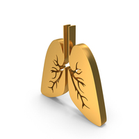 Gold Lungs Icon PNG & PSD Images