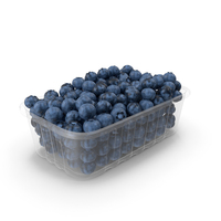 Blueberries In Plastic Container PNG & PSD Images