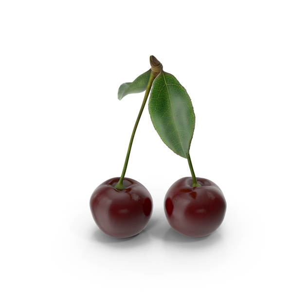 Cherry PNG & PSD Images
