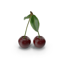 Cherry PNG & PSD Images