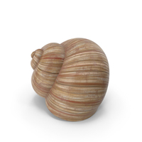 Snail Shell PNG & PSD Images