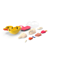 Bath Duck Anatomy Parts PNG & PSD Images