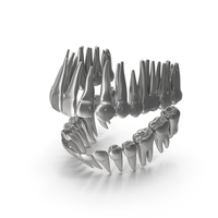 Silver Teeth Permanent Dentition PNG & PSD Images