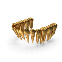 Golden Human Lower Jaw Teeth PNG & PSD Images