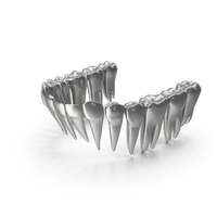 Silver Human Lower Jaw Teeths PNG & PSD Images
