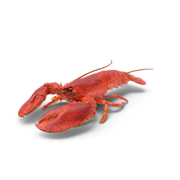 Red Lobster PNG & PSD Images