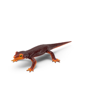 Newt PNG & PSD Images