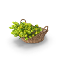 Two Handles Basket With Tulips PNG & PSD Images