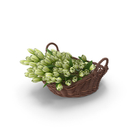 Two Handles Basket With White Tulips PNG & PSD Images