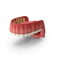 Human Mouth Upper Jaw PNG & PSD Images