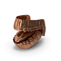 Copper Human Mouth Gums Teeth And Tongue PNG & PSD Images