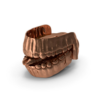 Copper Human Mouth Gums Teeth And Tongue PNG & PSD Images
