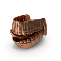Copper Human Mouth Gums Teeth And Tongue PNG & PSD Images