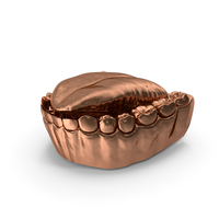 Copper Human Mouth Lower Jaw With Tongue PNG & PSD Images