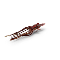 Red Kraken Sea Monster PNG & PSD Images