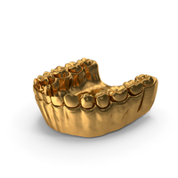 Gold Human Mouth Lower Jaw PNG & PSD Images