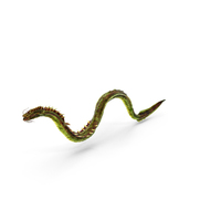 Green Leviathan Sea Dragon PNG & PSD Images
