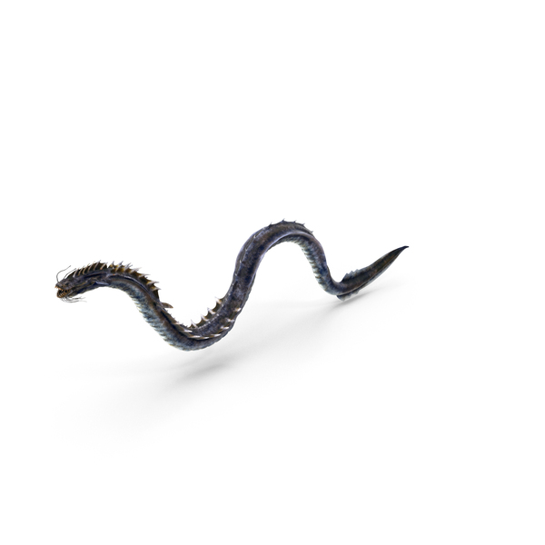 Blue Leviathan Sea Dragon PNG & PSD Images