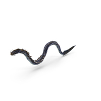 Blue Leviathan Sea Dragon PNG & PSD Images