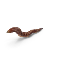 Worm Monster PNG & PSD Images