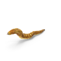 Yellow Worm Monster PNG & PSD Images