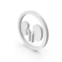 White Kidney Icon PNG & PSD Images