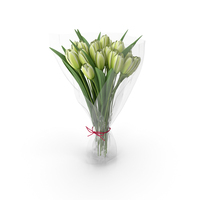 Tulips Bouquet PNG & PSD Images