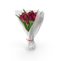 Tulips Bouquet PNG & PSD Images