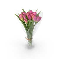 Tulips Bouquet PNG & PSD Images