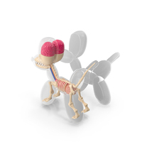 Mini Balloon Dog Skeleton Anatomy PNG & PSD Images