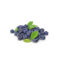 Bunch Of Garden Ripe Blueberries PNG & PSD Images