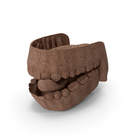 Clay Human Mouth Gums Teeth and Tongue PNG & PSD Images
