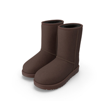 Classic Short Boots For Ladies Fur Brown PNG & PSD Images