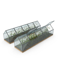 Greenhouse PNG & PSD Images