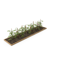 Tomato Plants PNG & PSD Images
