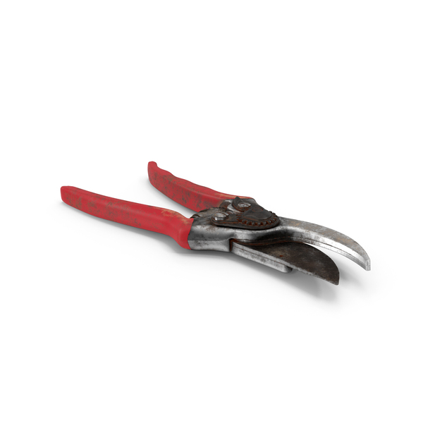Dirty Pruners PNG & PSD Images