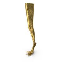 Gold Monster Leg PNG & PSD Images