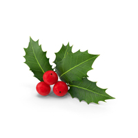 Isolated Holly Berry With Leaves PNG & PSD Images