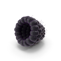 Black Raspberry PNG & PSD Images